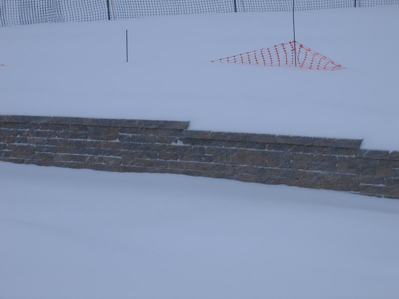Wintery wall detail